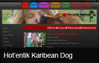 Hotentik Karibean Dog