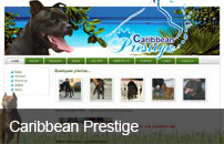 Caribbean Prestige